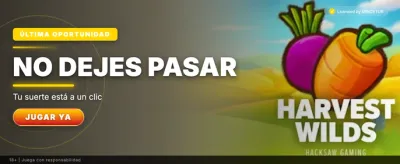 Torneo Dragon Hatch